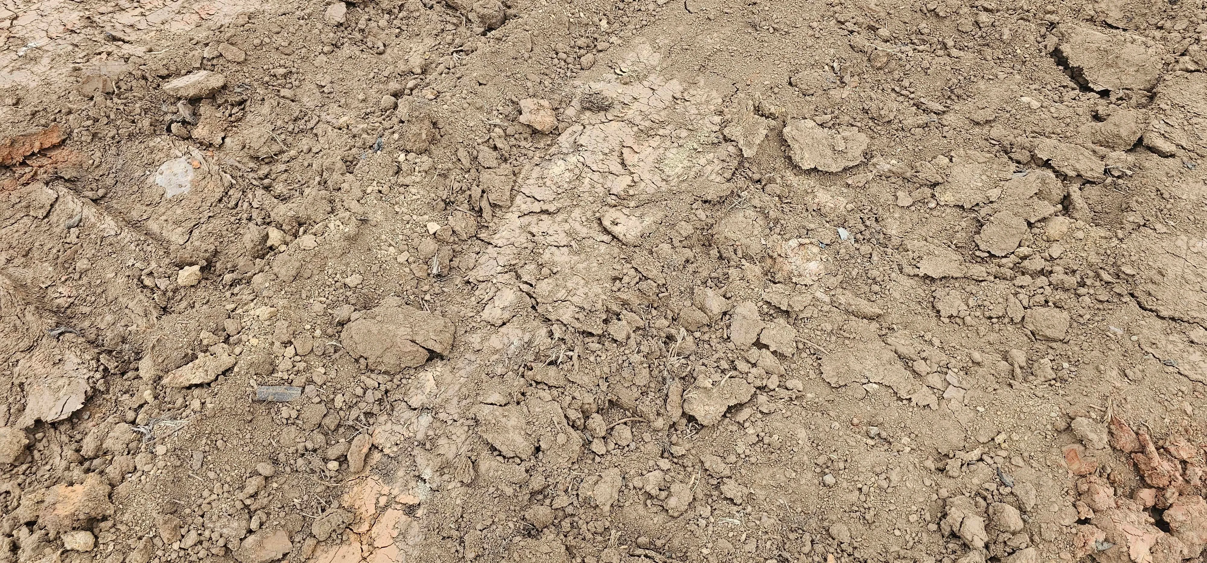 Operator assessing a stockpile of soil before screening